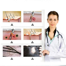 Load image into Gallery viewer, Ginger Oil