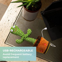 Load image into Gallery viewer, Dancing Talking Cactus Pot Toy