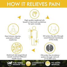 Load image into Gallery viewer, Ayurvedic Belly Oil (Pack of 2)