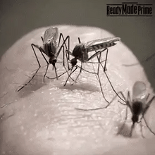 Load image into Gallery viewer, Mosquitos USB Rechargeable Bug Zapper