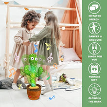 Load image into Gallery viewer, Dancing Talking Cactus Pot Toy
